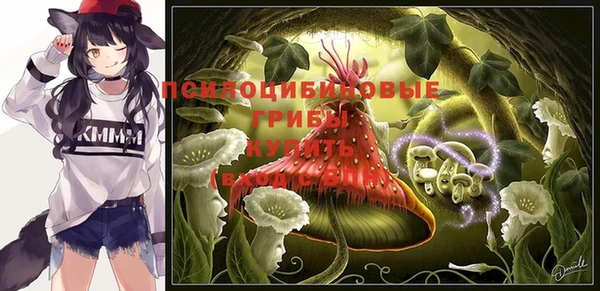 шишки Алексин
