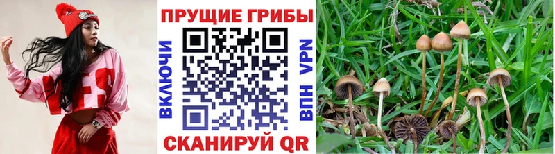 Псилоцибиновые грибы прущие грибы  наркота  mega ТОР  Харовск 